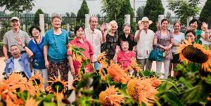 馨乐园带老人看葵花