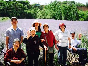 洛阳老年公寓-带老人看薰衣草