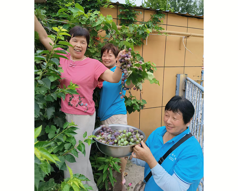 馨乐园养老院老人活动