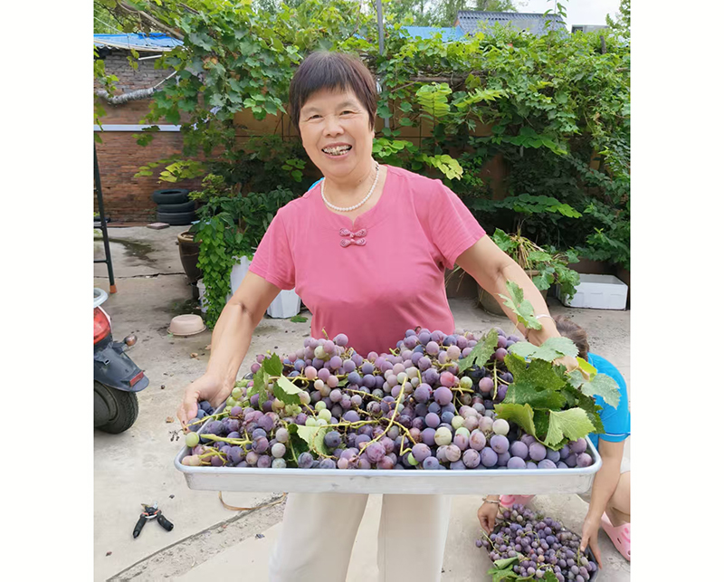 馨乐园养老院老人活动