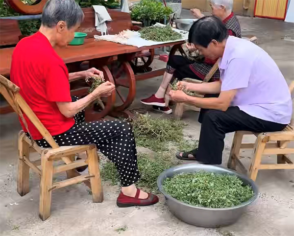 馨乐园养老院麻子菜煎饼