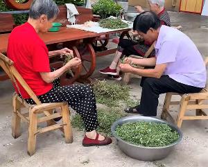 馨乐园养老院麻子菜煎饼